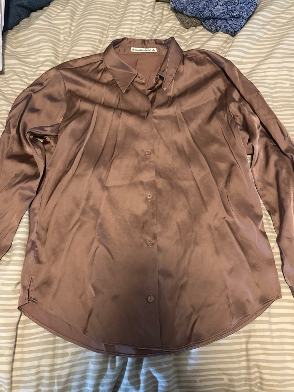 Silky Button-Up Blouse in Brown